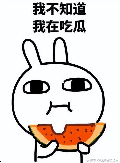 娱乐吃瓜酱幼崽,揭秘娱乐圈萌娃们的成长故事