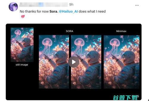 国产视频站,引领潮流，打造视听盛宴的数字家园
